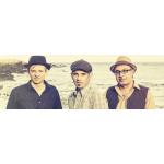 22-06-2016 - MCS Marketing - Marquess - banner.jpg